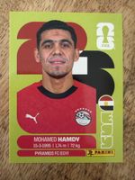 Panini EGY 4