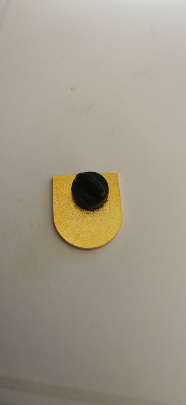 Placchette & Badge: Pin Curling Dubendorf  – Usato da Genève venduto da vins50 1