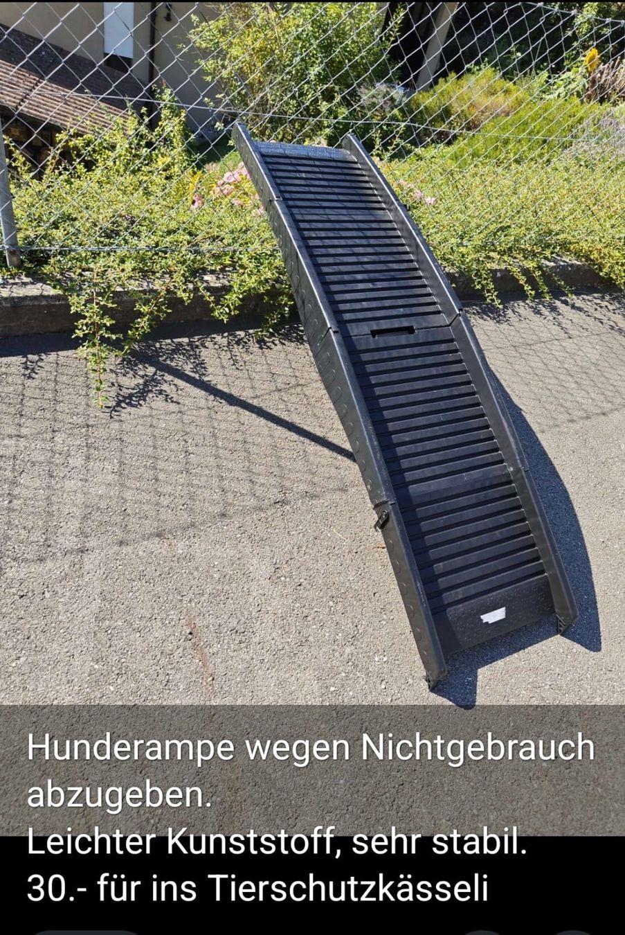 Gabbie, trasporto & Sicurezza: Hunderampe – Usato da Luzern venduto da Lunica65