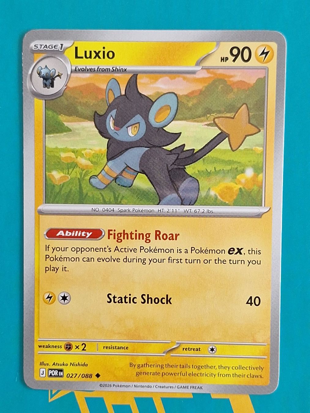 Pokémon Carte collezionabili: Luxio - Pokemon Perfect Order – Usato da Altstätten SG venduto da GGsGameshop