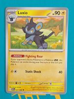 Luxio - Pokemon Perfect Order