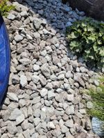Andeer Steine für Steingarten und Kräuterschnecke