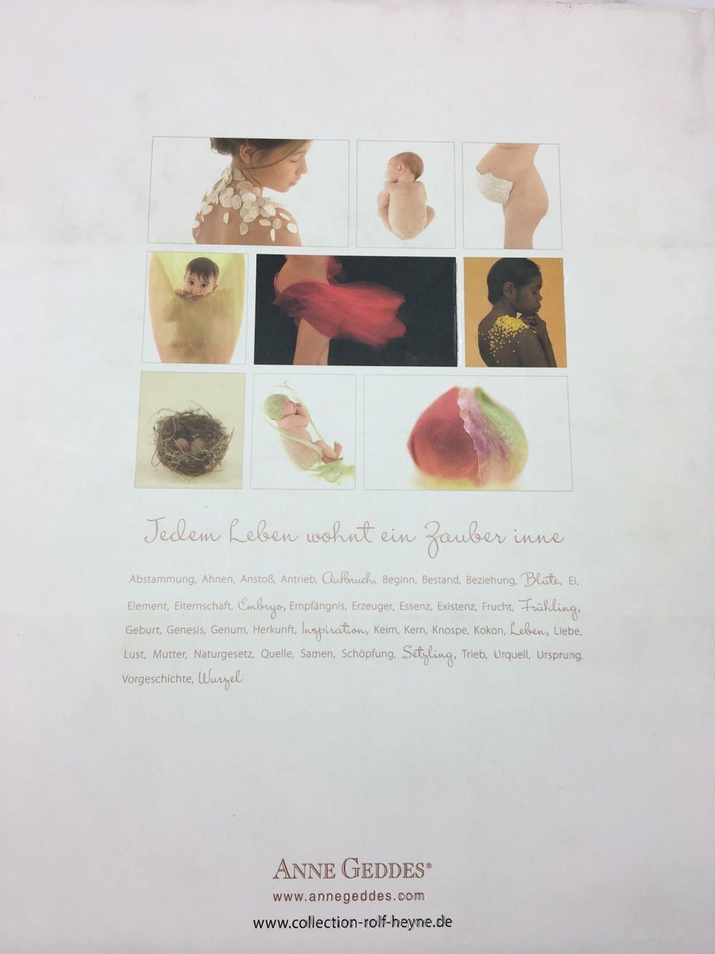 Libri: Anne Geddes Bildband – Usato da Siebnen venduto da Starlauf 1