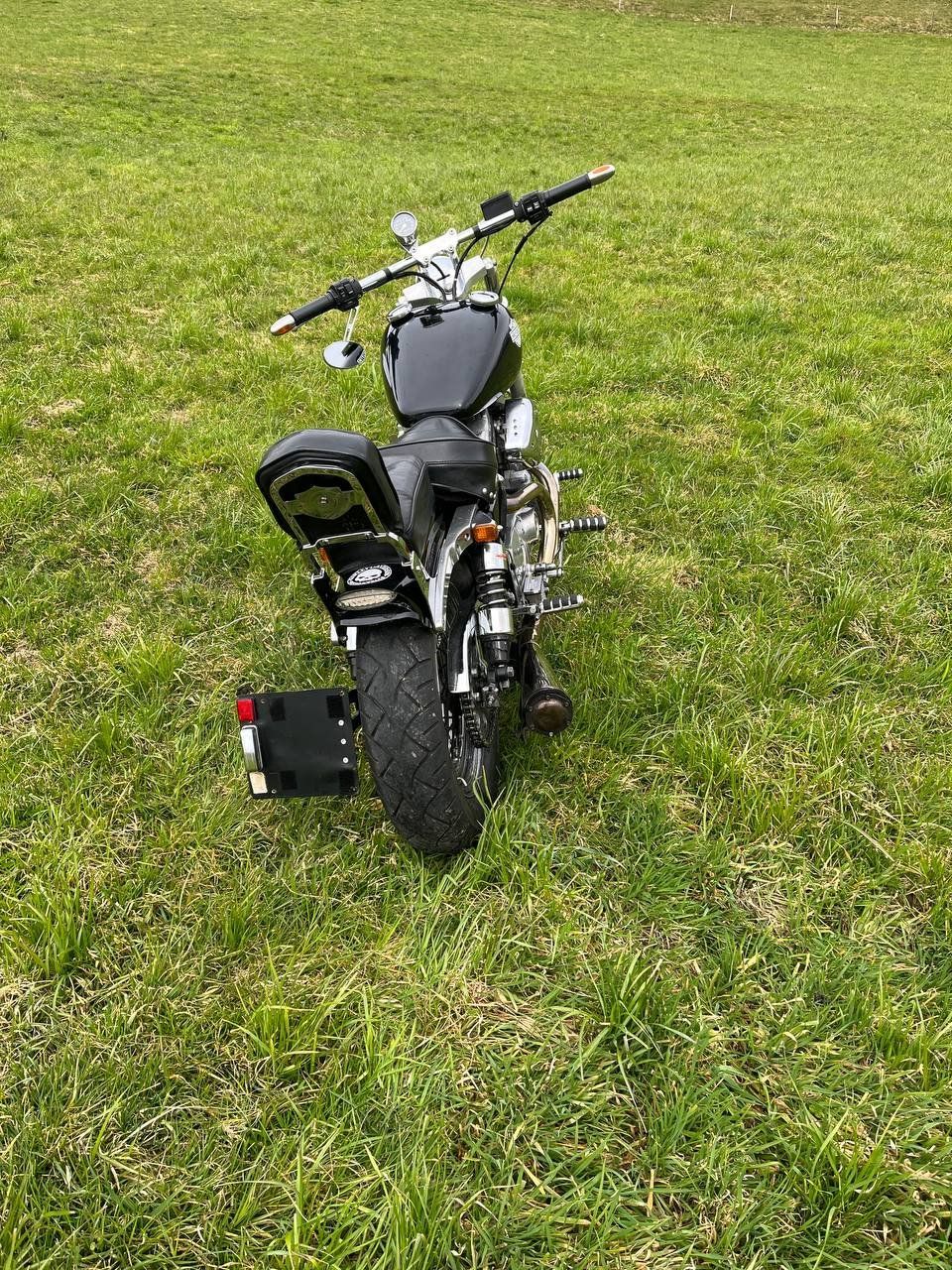 Harley-Davidson Chopper: Harley-Davidson XL 1200 – Usato da Reinach AG venduto da GarageDenis 8