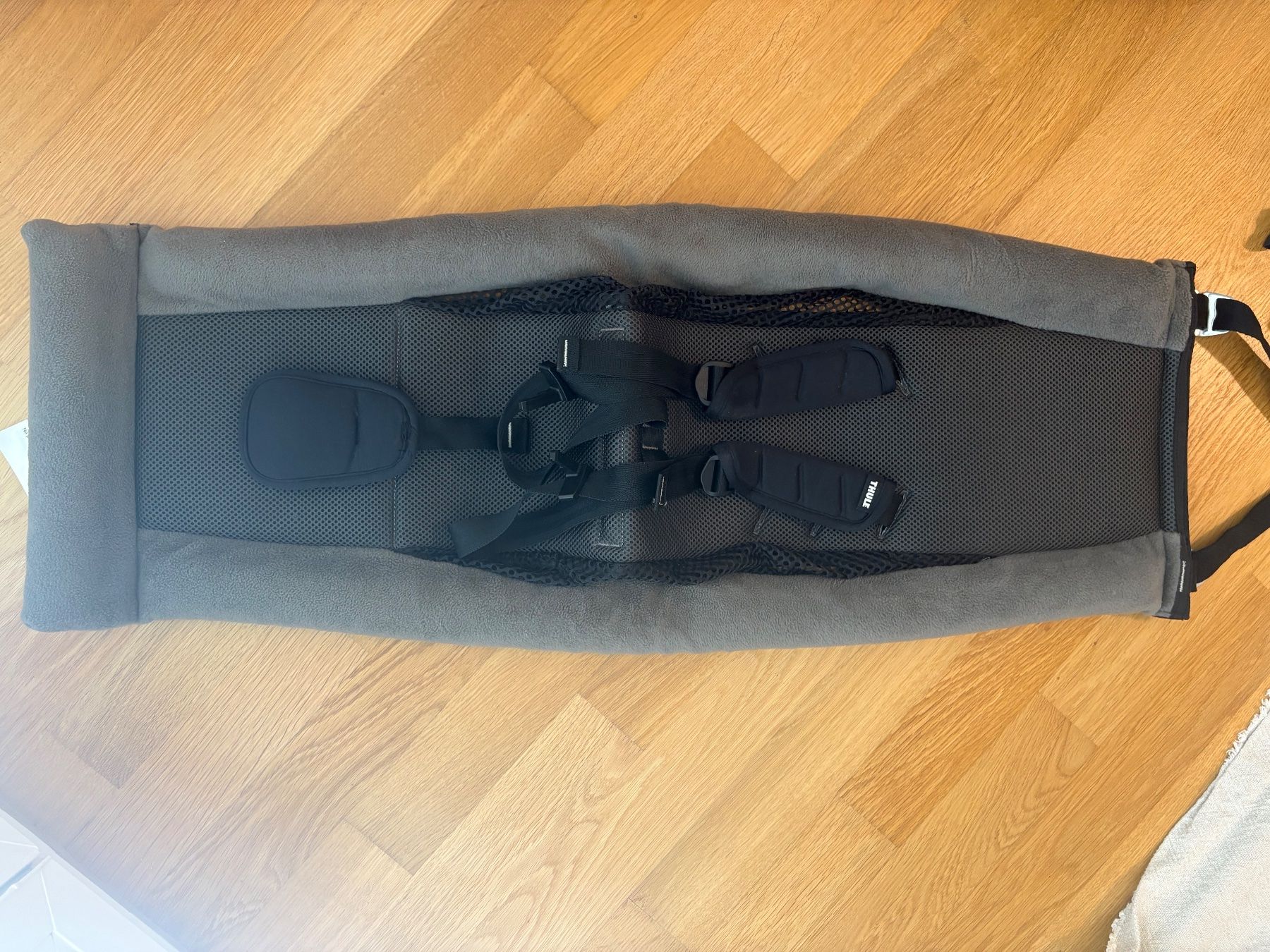 Thule Anhänger: THULE Wagen Infant Sling – Gebraucht aus Baden von leaael02 1