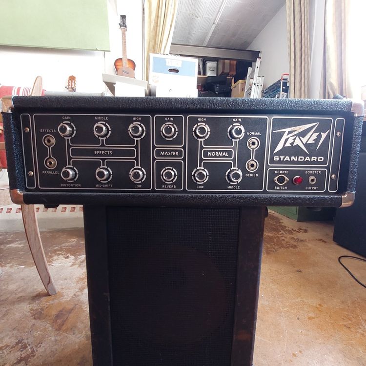 Peavey Standard 260H Kaufen auf Ricardo
