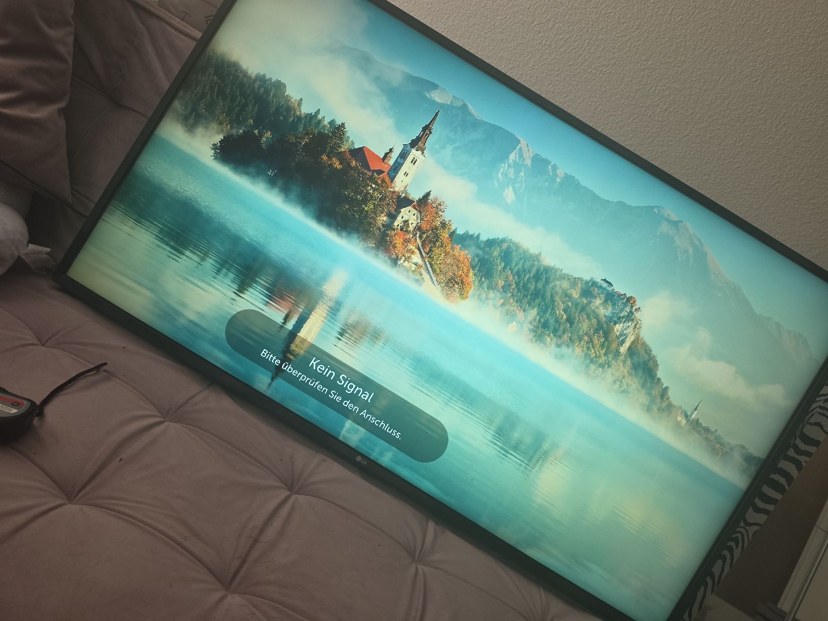 Televisori: LG Fernseher 55 Zoll – Usato da Bubendorf venduto da Tawalch 1