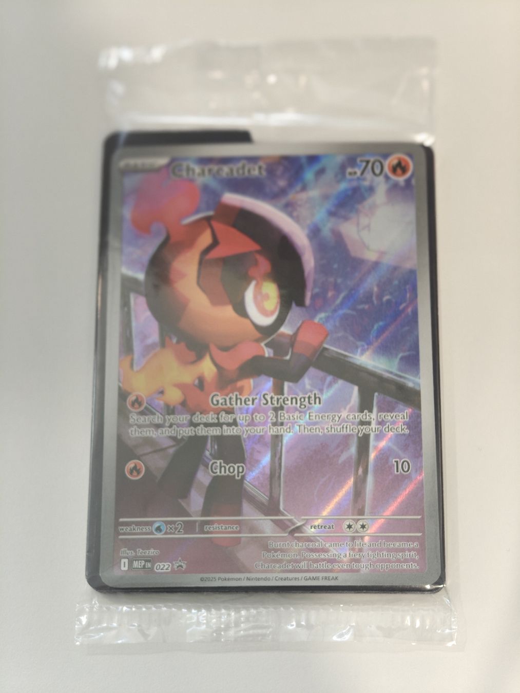 Pokémon Carte collezionabili: Charcadet Promo 022 EN – Nuovo (secondo la descrizione) da Therwil venduto da Cordachu_Trade