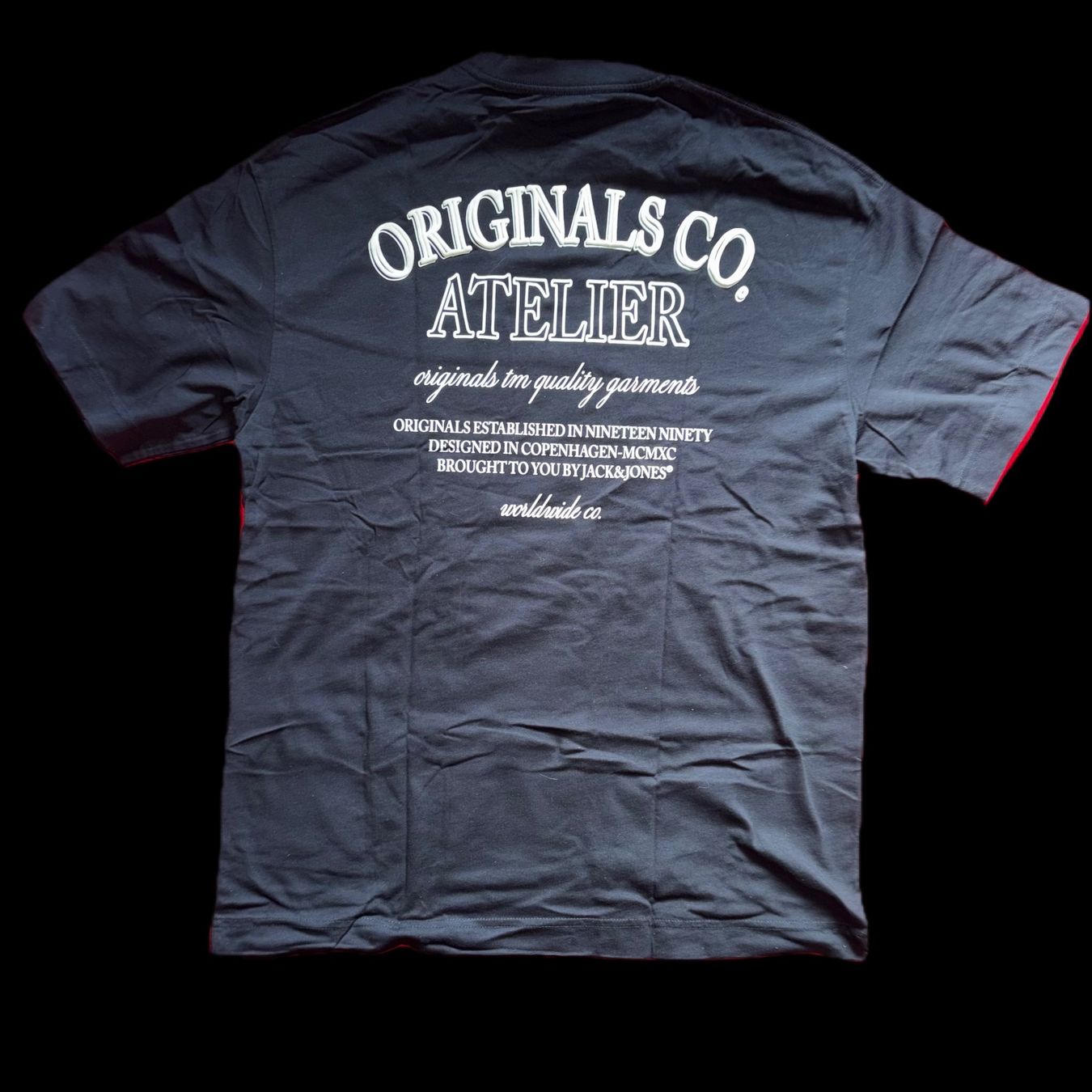 T-shirt: T-Shirt, Grösse L – Usato da Horgen venduto da zonezombie5e 1