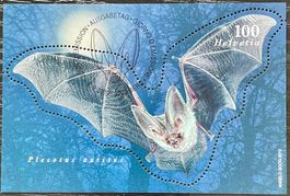 Sonderblock Fledermaus