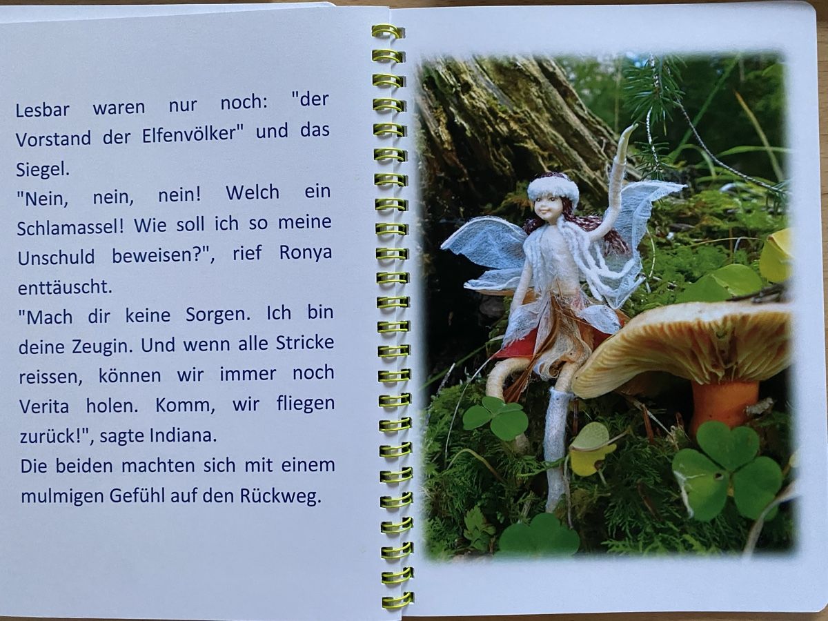 Libri: 10 Märchen über Elfen - Damaiania – Usato da Schwarzenburg venduto da Michellu 5