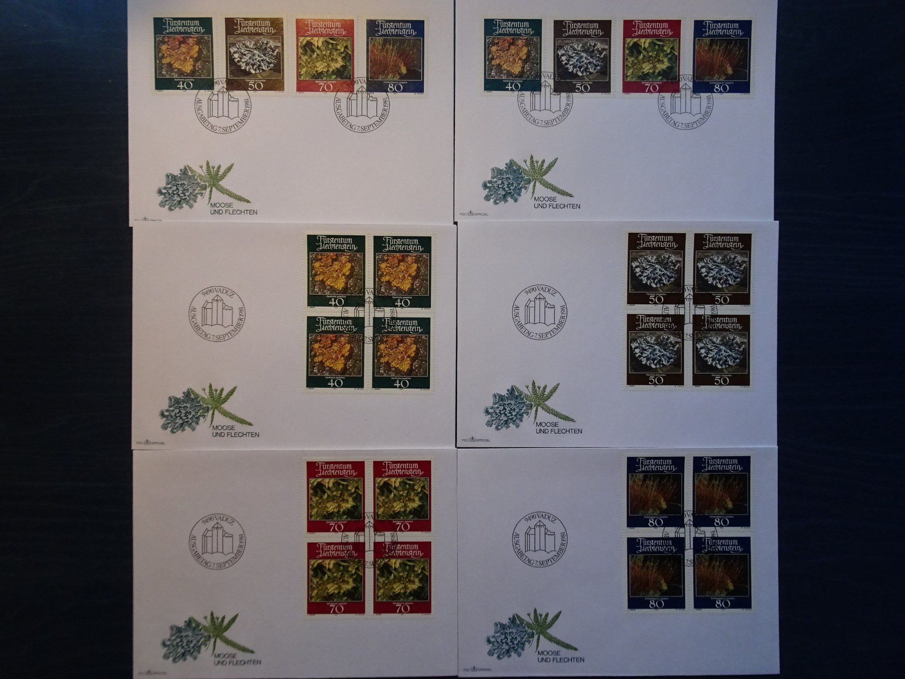Tous les timbres: FDC 1981 – Neuf (Voir description) à Aadorf par Chnorli-Furz