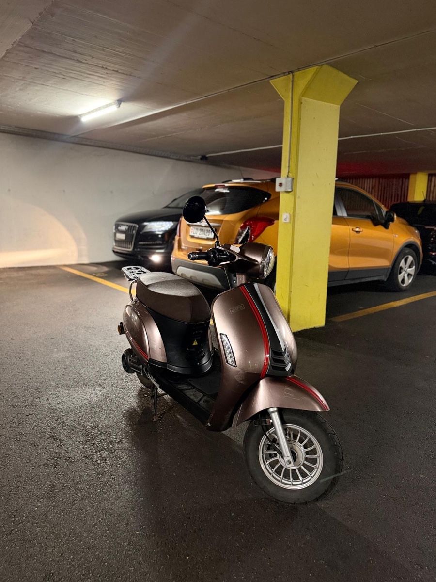 Autres: Luxxon E3000 Elektro-Roller  – Défectueux à Luzern par alh_6dhp 1