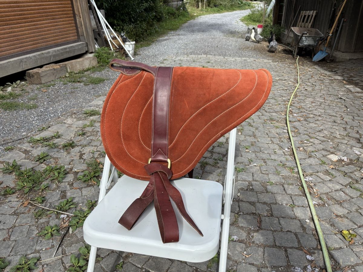 Selles, accessoires: Bareback Pad – D'occasion à St. Gallen par may_8fbd