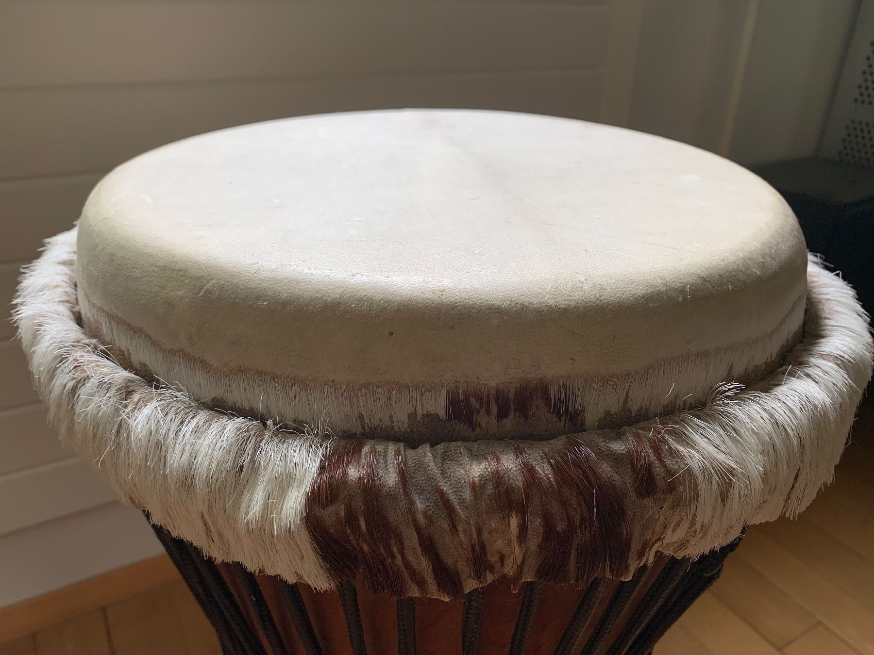 Musikinstrumente: Djembe Percussion Trommel – Gebraucht aus Zürich von PascaleC 5