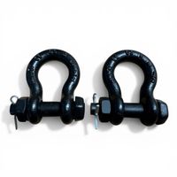2er Set Safetex Schäkel 1/2'' 2 Tonnen Traglast (X1080)
