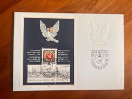 Erstagsbrief FDC 1995 Midi Brief  (R904)