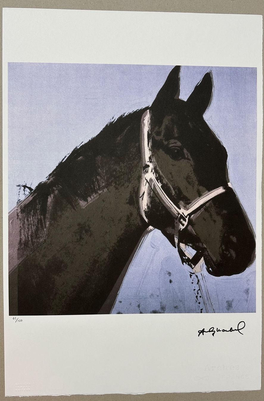 Gemälde: Andy Warhol: Horse, POP Art 45/100 – Neu (gemäss Beschreibung) aus Meilen von Smgdesign