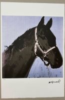 Andy Warhol: Horse, POP Art 45/100