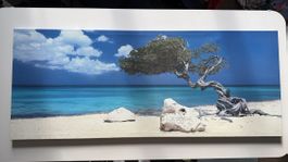 Summer Beach Canvas Print