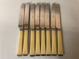 Villeroy Boch Messer mit Kunststoffgriff, 8 Stück