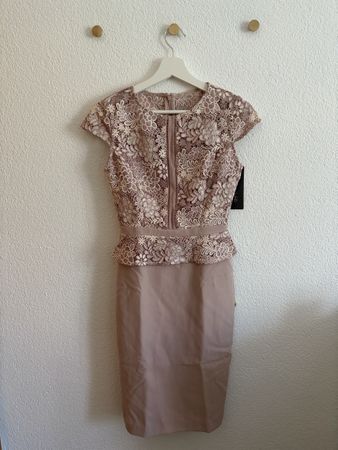 Phase Eight Mia Lace Dress Rosa 34/36 – Neu mit Etikette