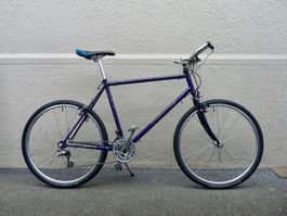 Velo / Fahrrad / Citybike / Megabike