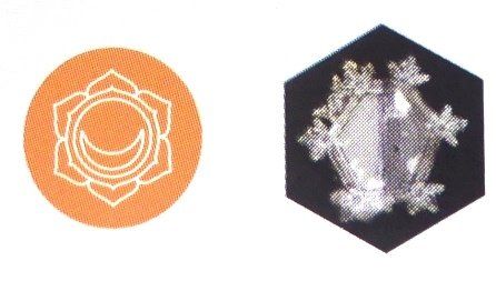 Bicchieri: TC Mythos Becher - Sakral-Chakra – Nuovo e nell'imballaggio originale da Mauren venduto da Yeelen 2