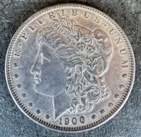Morgan Dollar 1900