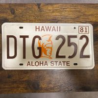 🇺🇸 U.S. Autoschild - Hawaii DTG 252 - ORIGINAL