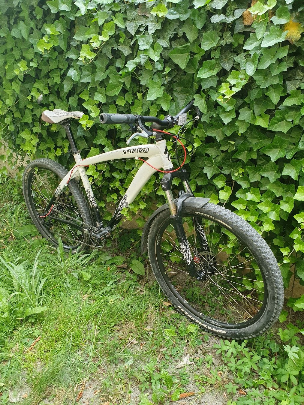 Specialized Biciclette: Specialized Hardtail MTB mit neuen Teilen – Difettoso da Glis venduto da Shortbread_ 5
