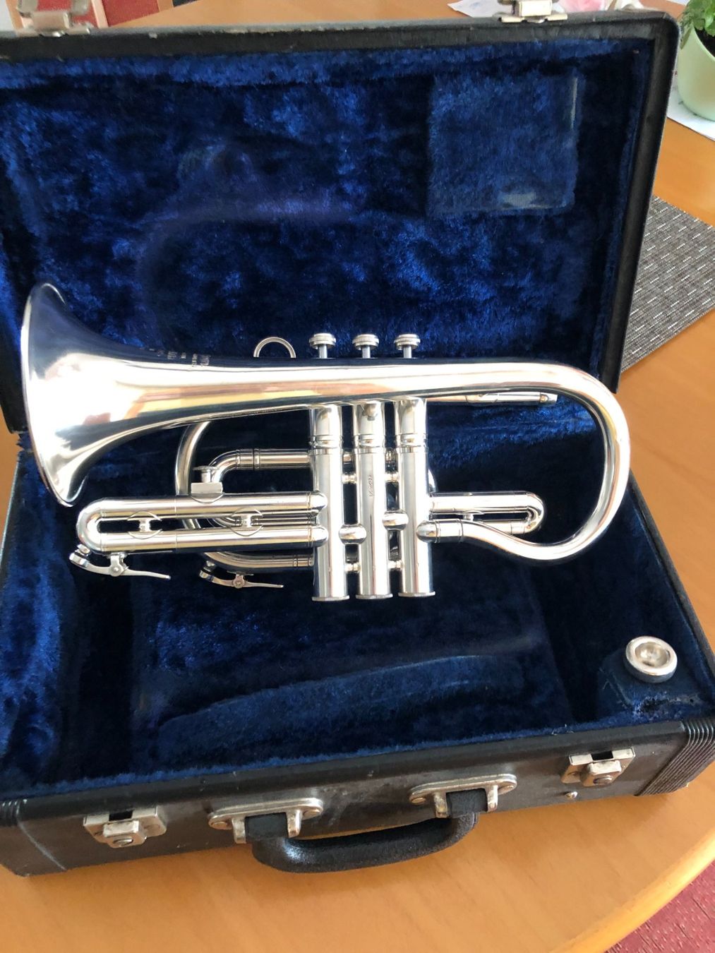 Strumenti musicali: B-Cornet Willson Flums – Usato da Erlen venduto da astra2013 4