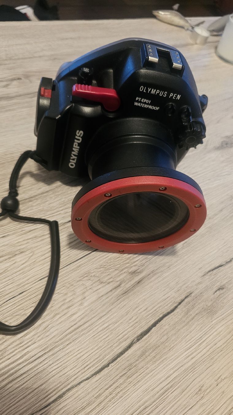 Olympus Fotocamera: Olympus PEN E-PL1 mit unterwassergehäuse – Usato da Naters venduto da tim_7q2x 5