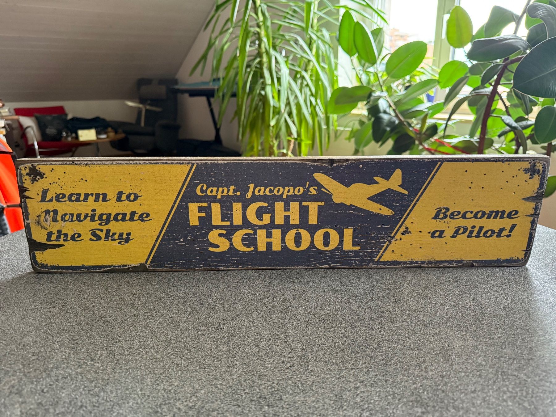 Toutes les décorations: Flight School Rustic Wood Sign – Neuf avec emballage d'origine à Muttenz par Fantom03 3