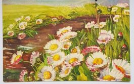 AK 1928, Ausdauerndes Gänseblümchen, Postkarte v. J. Zürcher