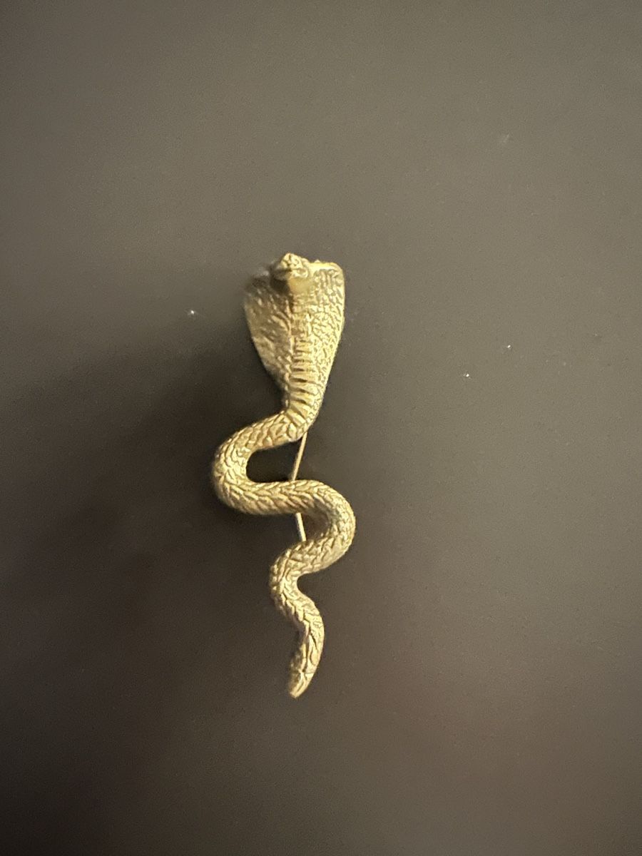 Spille & Fermagli: Spilla vintage a forma di serpente cobra  DOING GOODS – Usato da Losone venduto da niv_8vwx 1