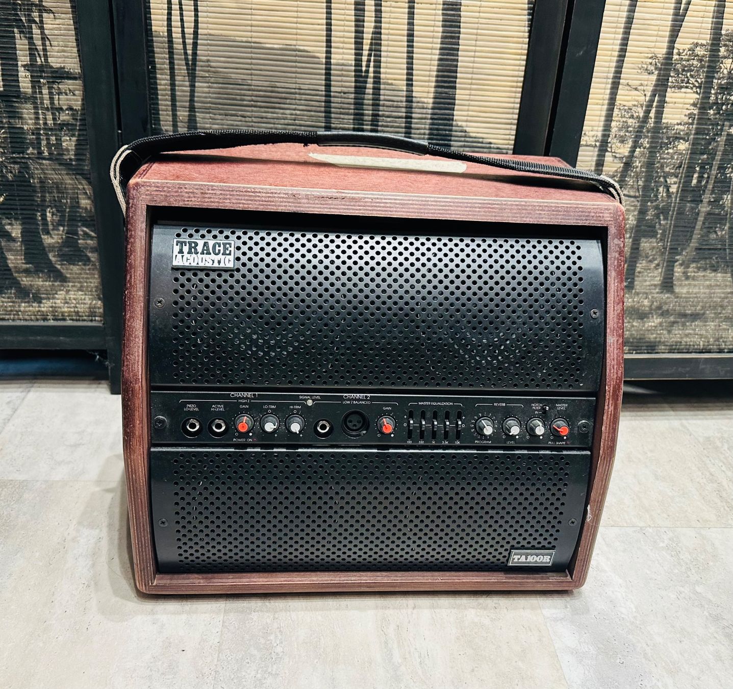 Amplificatori: TRACE ACOUSTIC TA100R,  Acoustic Combo – Usato da Menznau venduto da baholino