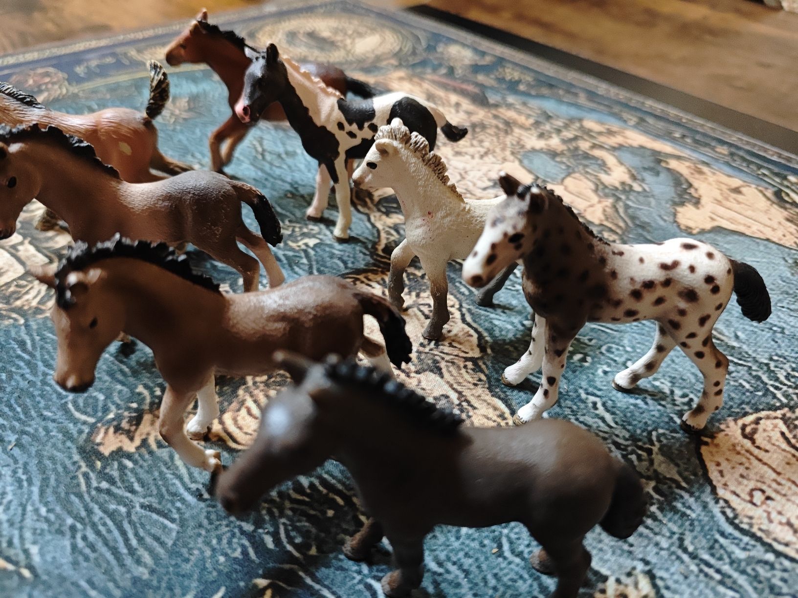 Schleich Figuren: 7 Schleich, 1 Bully Pferdefohlen – Gebraucht aus Wittenbach von stefange 1