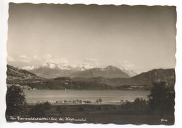 KÜSSNACHT Der Vierwaldstätter-See