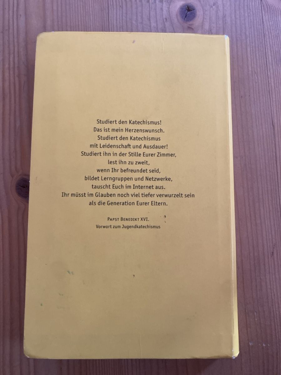 Libri: Youcat – Usato da Breil/Brigels venduto da mad_z5dm 1