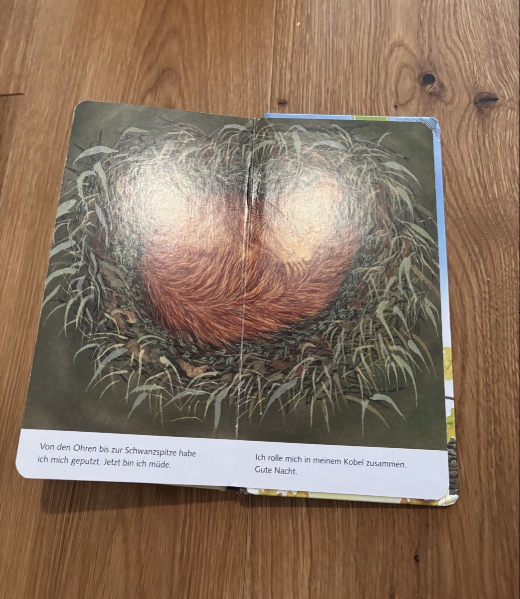 Libri: "Ich bin das kleine Eichhörnchen" - Ravensburger Buch – Usato da Jegenstorf venduto da Annina0506 8