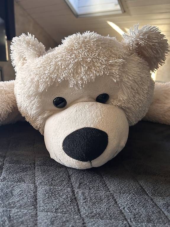 Jouets: Teddy – D'occasion à Grenchen par benu01