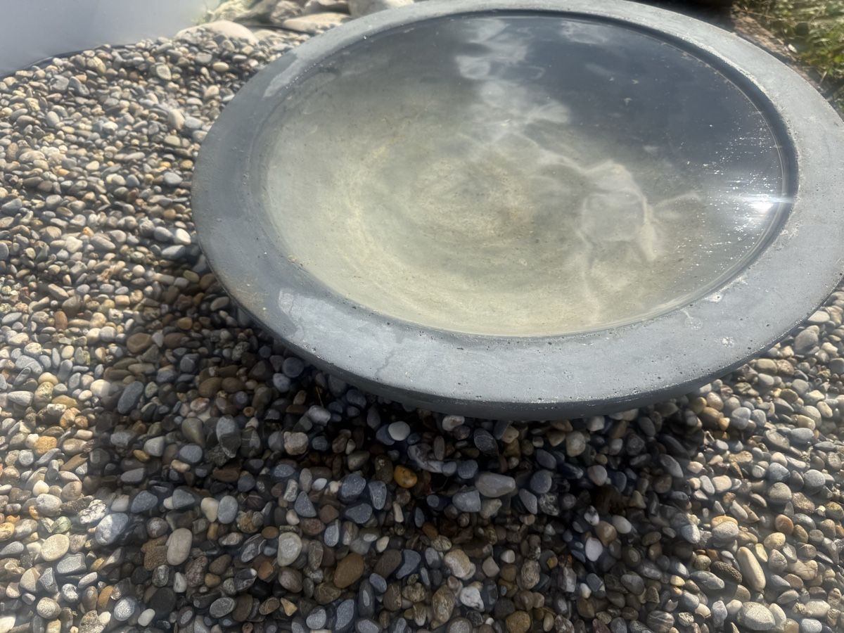 Schalen: Wasserschale – Gebraucht aus Horriwil von Carrera68