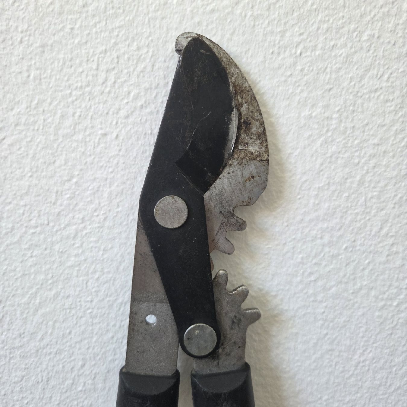 Tous les outils: Astschere – D'occasion à St.Gallen par Its.eli035 2