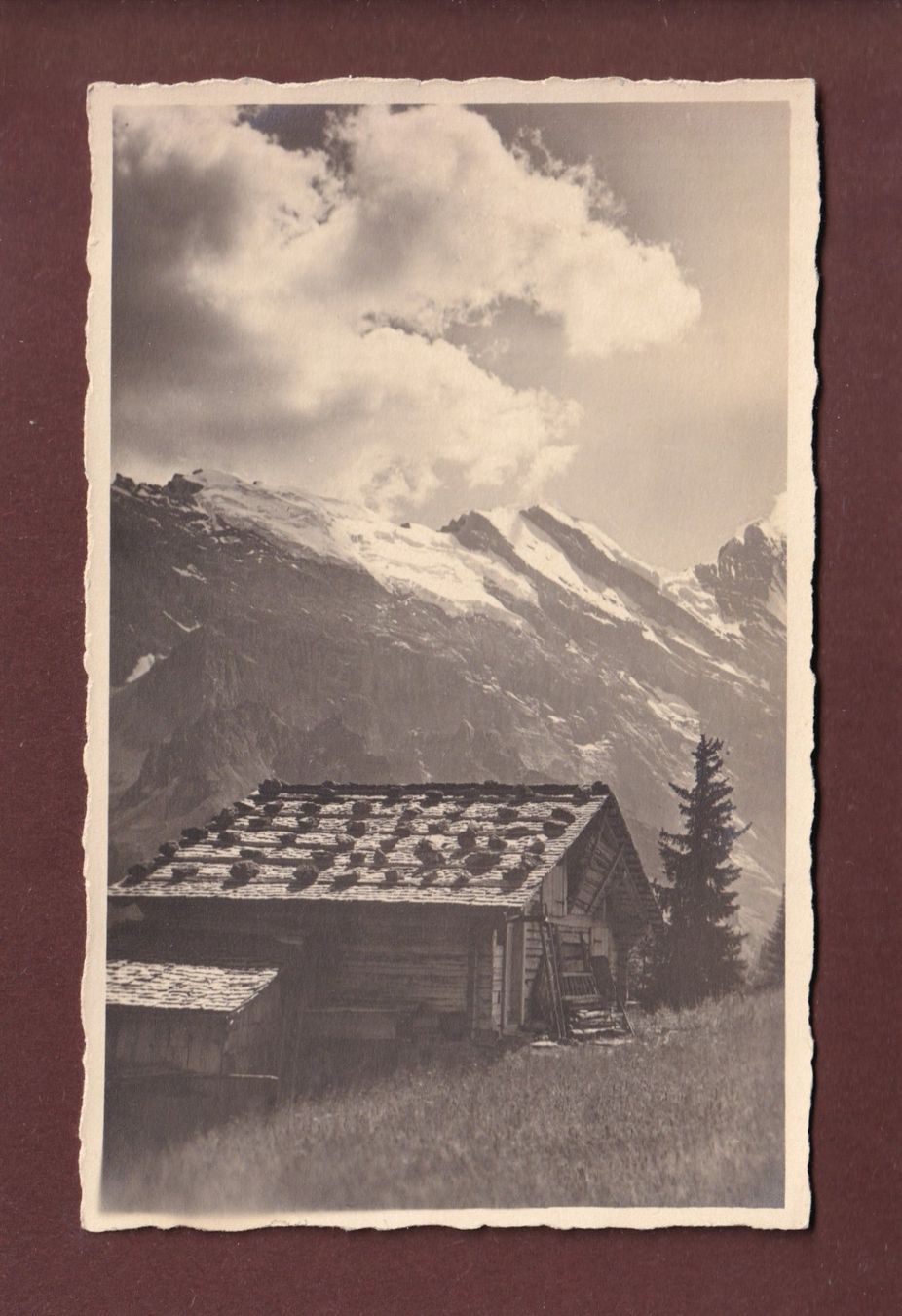 Cartoline postali: MÜRREN - Chalet Alpina – Usato da Pully venduto da nicecards