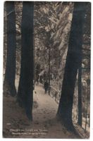 Wer weiss wo? Waldsträsschen im Winter belebt, gelaufen 1922