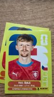 Panini WM 2026 Czechia Pavel Sulc