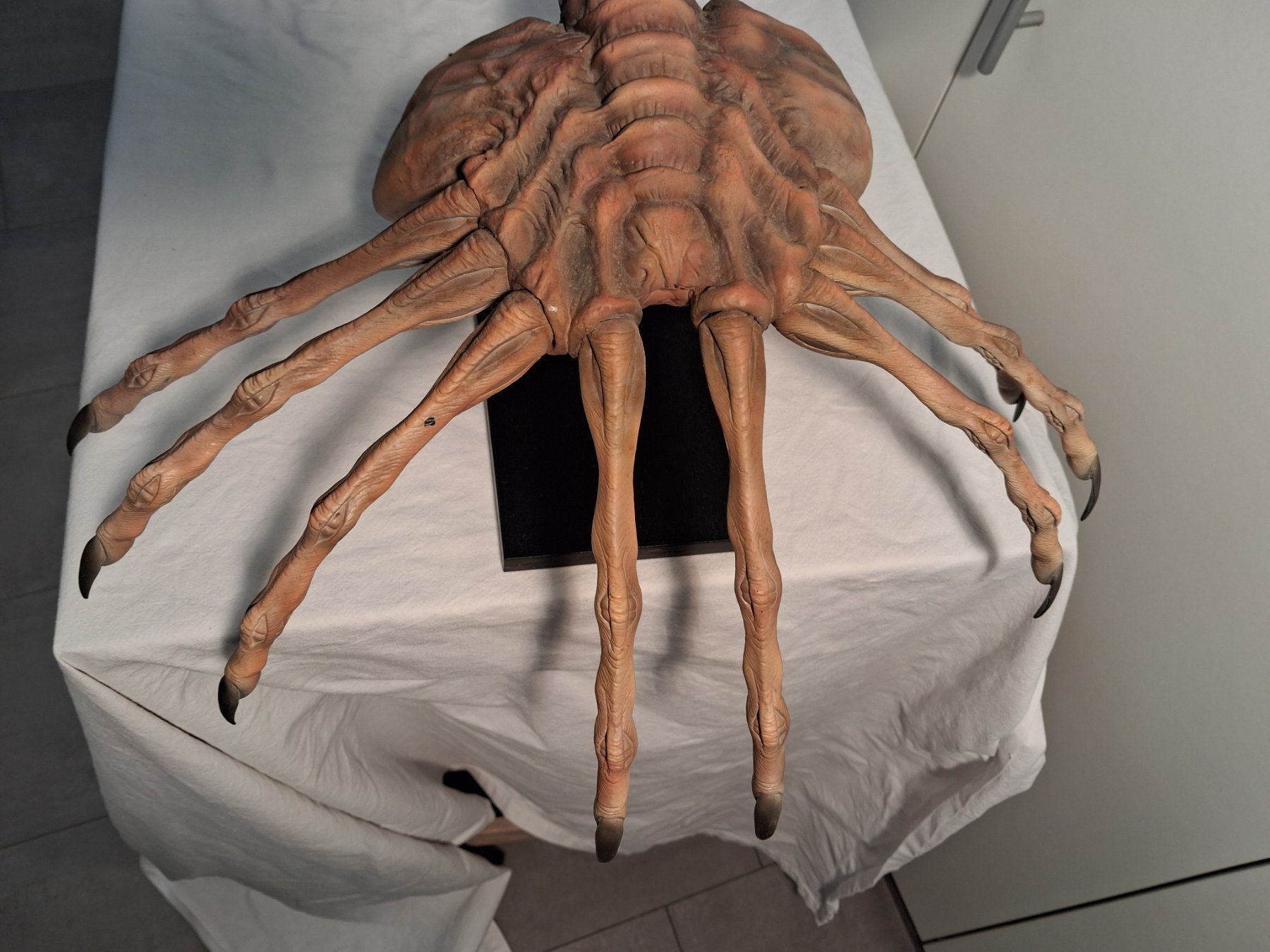 Figurines: Alien -Facehugger – D'occasion à Gretzenbach par chr_bxh5 3
