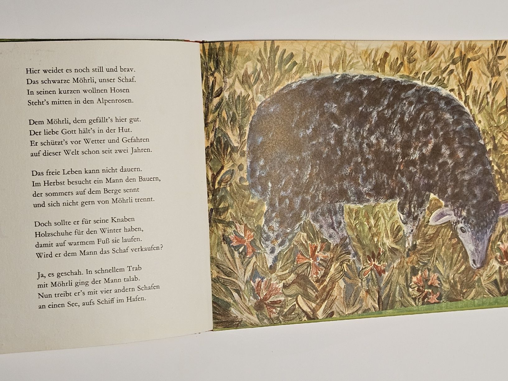 Libri: Möhrli - Geschichte eines schwarzen Schafes / #WT18 – Usato da Oberdorf BL venduto da BaldenEagle 1