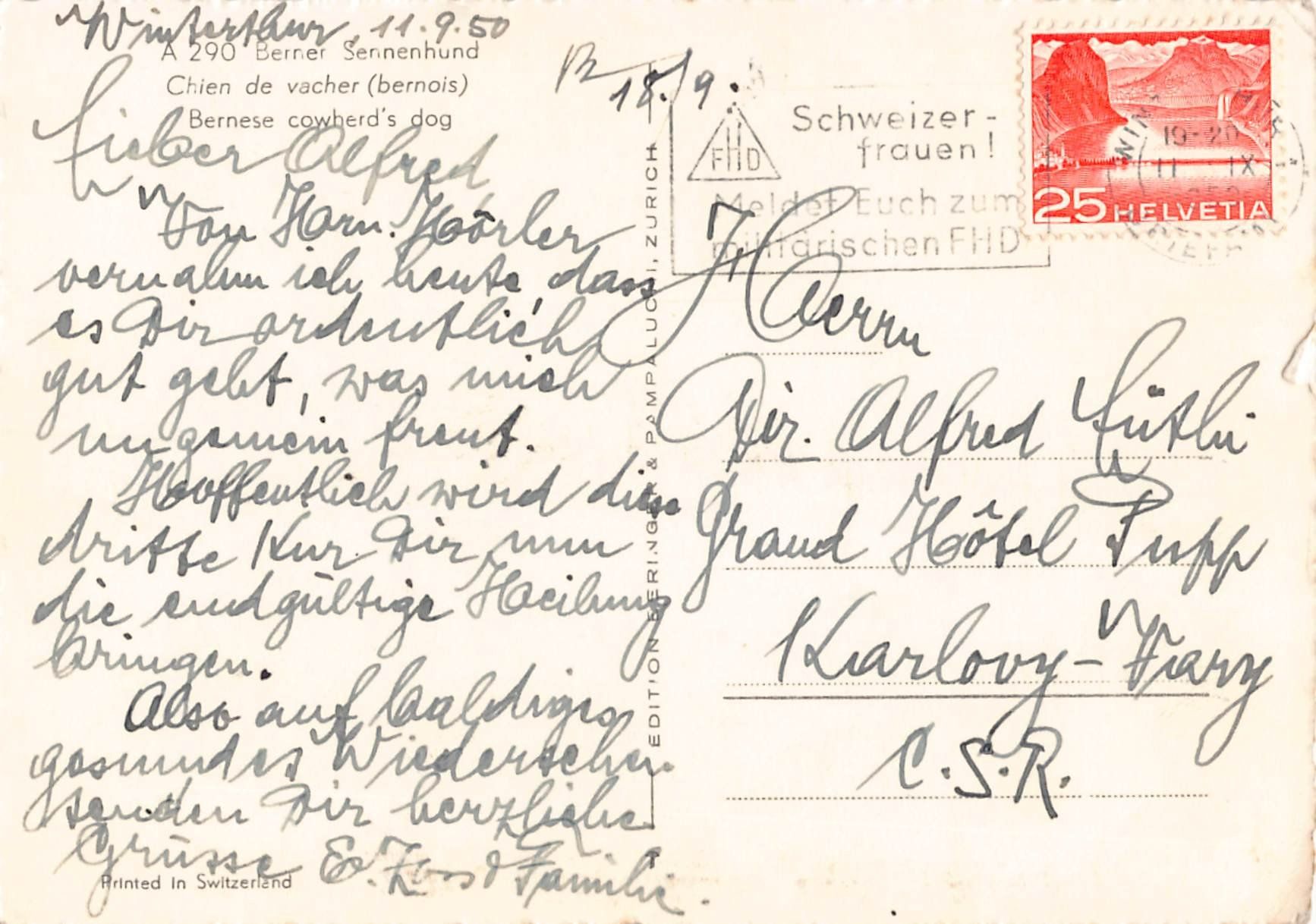 Ansichtskarten: BERNER SENNENHUND - alte Postkare 1950, ab 1.-- – Gebraucht aus Winterthur von SchatzchischtliWinti 1